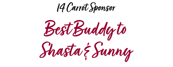 Sponsor_Best_Buddy