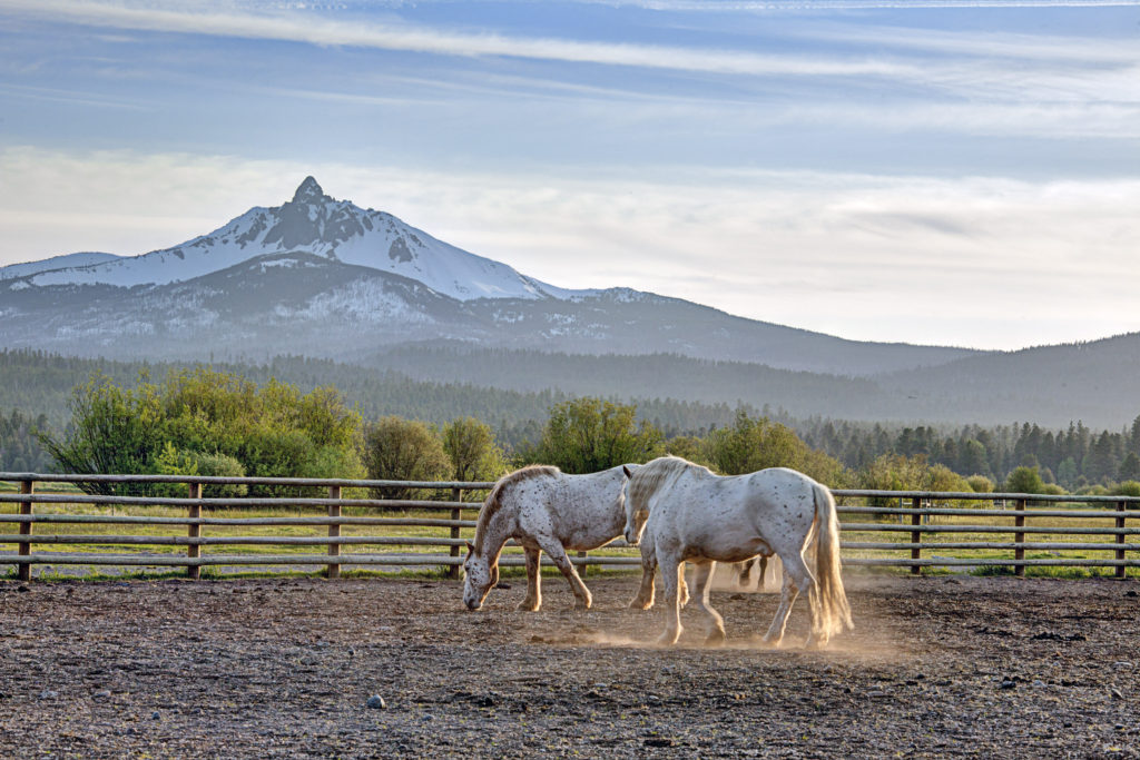 Black Butte Ranch Year Round Vacation Paradise | Heart of the Horse